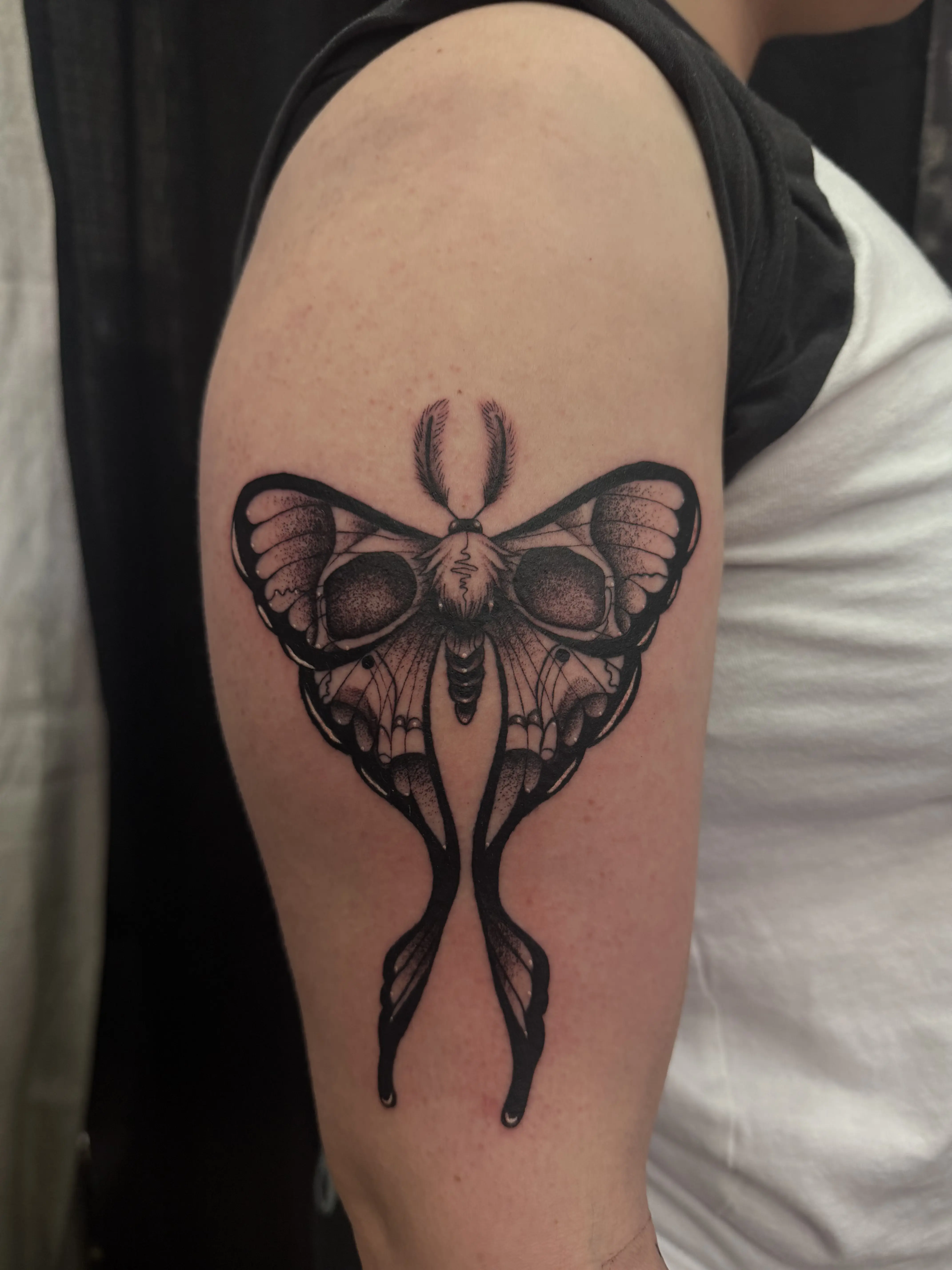 Moth tattoo by Sarai